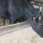 配合飼料価格安定制度、28年度第3四半期は補填発動せず