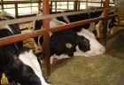 カナダ、スイス、豪州と有機畜産物等に関する輸出入の条件で合意